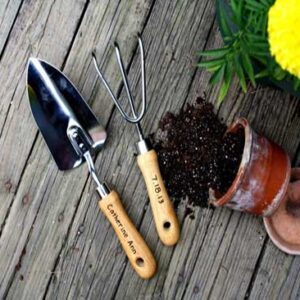 Accessori e Ricambi