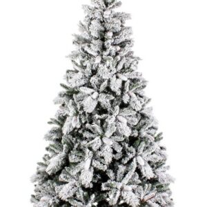 albero newark