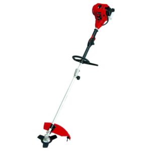 DECESPUGLIATORE EINHELL A SCOPPIO 2T CC29.7 GC-BC 30/1 AS