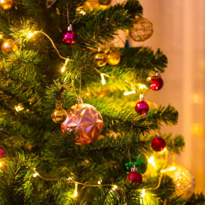 Alberi