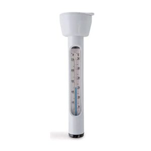INTEX TERMOMETRO PER PISCINA 29039