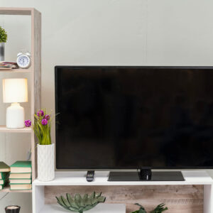 TV