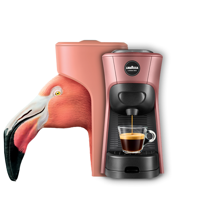 LAVAZZA A MODO MIO MACCHINA CAFFE' TINY ROSA COD. 18000553 - immagine 2