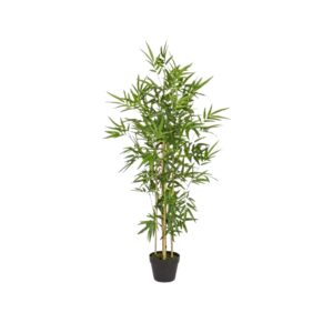 BIZZOTTO PIANTA BAMBOO C/VASO H130CM 0172384