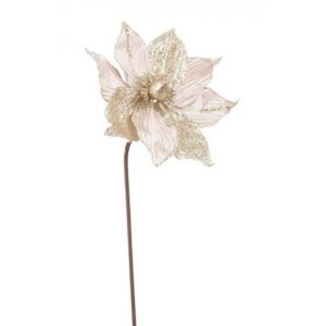 BIZZOTTO MAGNOLIA AFRODITE CHAMPAGNE 23X50H 0935195