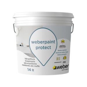 WEBERPAINT PROTECT 14LT BIANCO O COLORATO 5200908006/20M