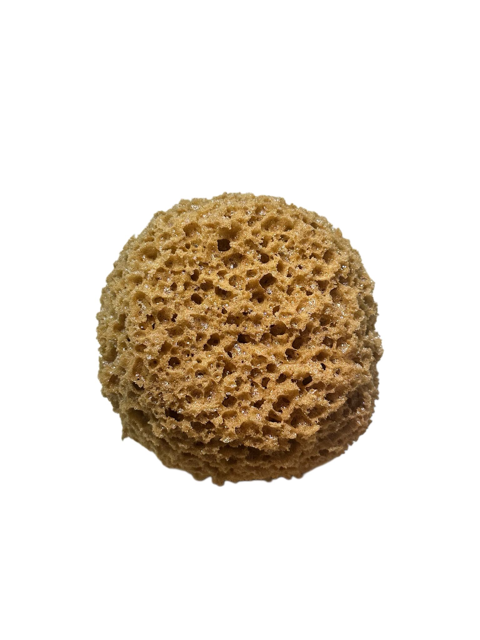 SPUGNA SINTETICA DECORATIVA TONDA T7