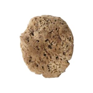 COLOREA SPUGNA DECORATIVA NATURALE 14CM 9032310