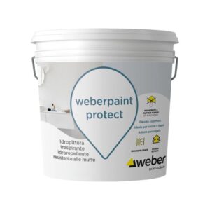 WEBERPAINT PROTECT 4LT BIANCO O COLORATO 5200908005/20R