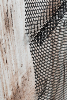 BIZZOTTO DIPINTO OLIO C-C CROWN I194-1 82.5X122.5 ART 0240848 - immagine 3