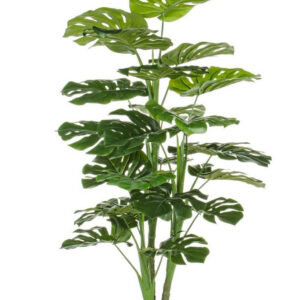 BIZZOTTO PIANTA FILODENDRO C-VASO 23FOGLIE H120CM 0172387