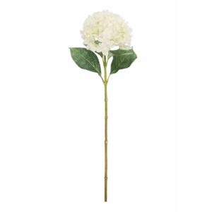 BIZZOTTO FIORE ORTENSIA CREMA 67CM