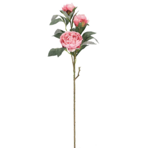 BIZZOTTO FIORI PEONIA  ROSA CHIARO H90 0170661