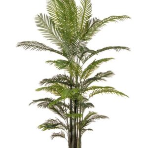 BIZZOTTO PIANTA KENZIA CON VASO 33 FOGLIE H210